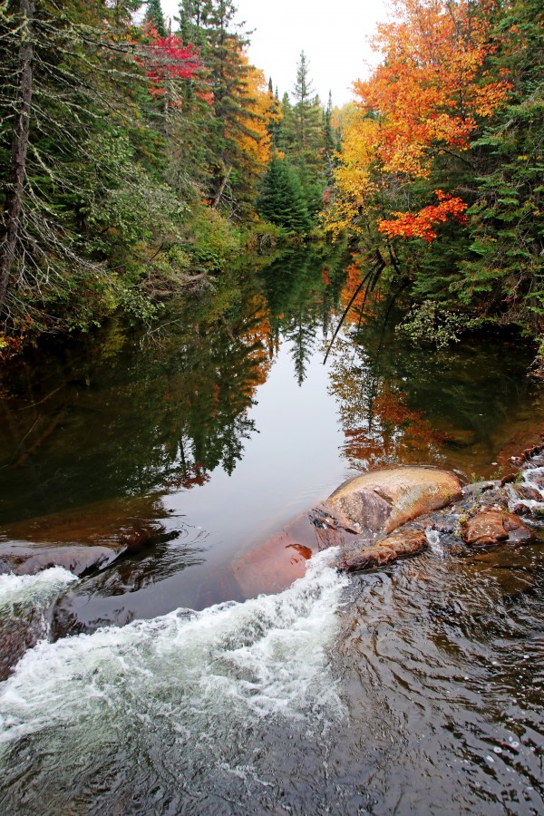 Chikanishing River In Autumn I by Deb Oppermann